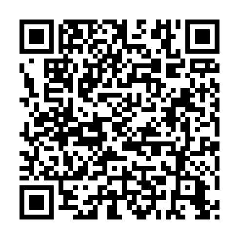 QR code for ICA958