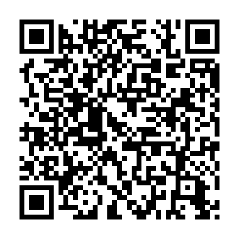 QR code for ICD 493