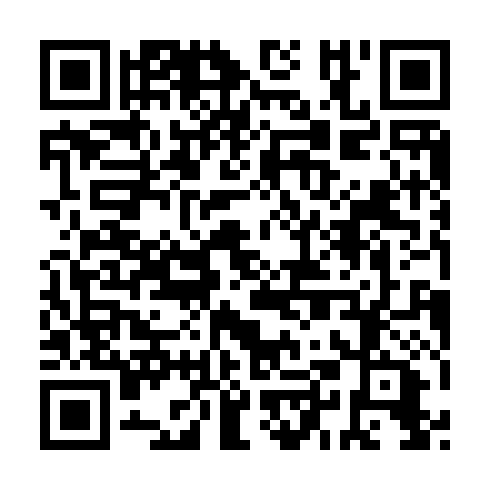 QR code for ICM 333