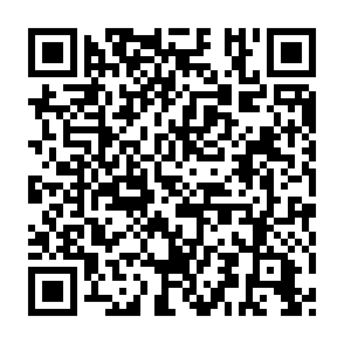 QR code for IDI 393