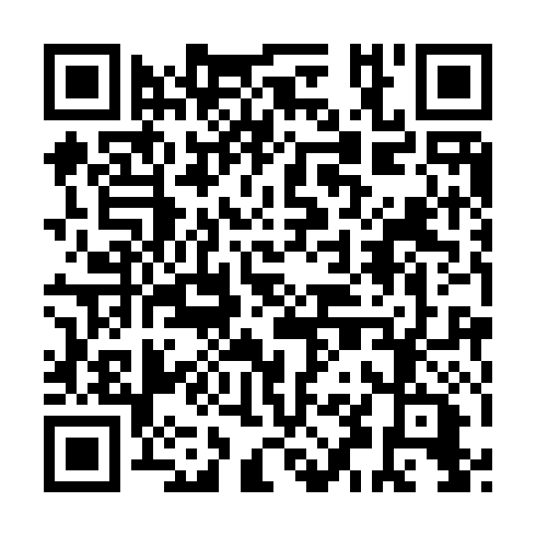 QR code for IDS 393