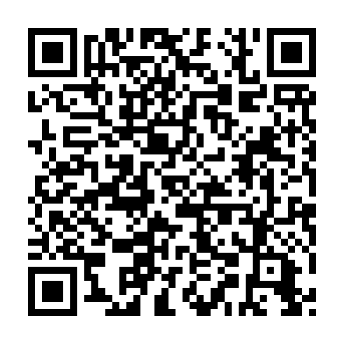 QR code for IEI 419