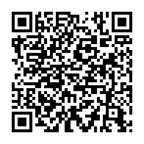 QR code for IFV 128