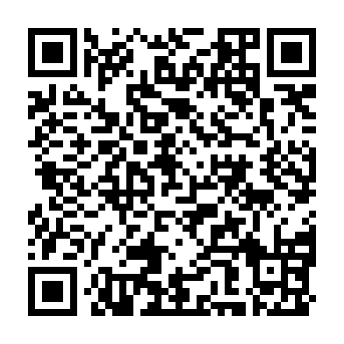 QR code for IGP 384