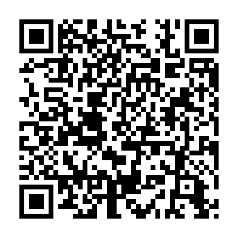 QR code for IIA 673