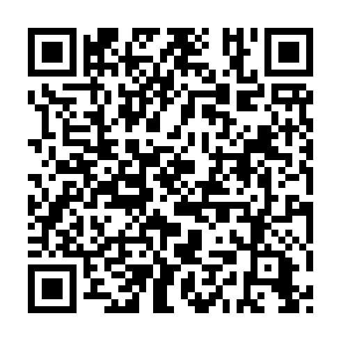 QR code for IIB 369