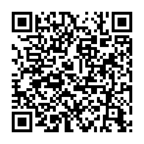 QR code for IIB 462