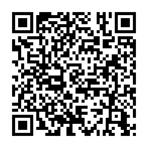 QR code for IIB317