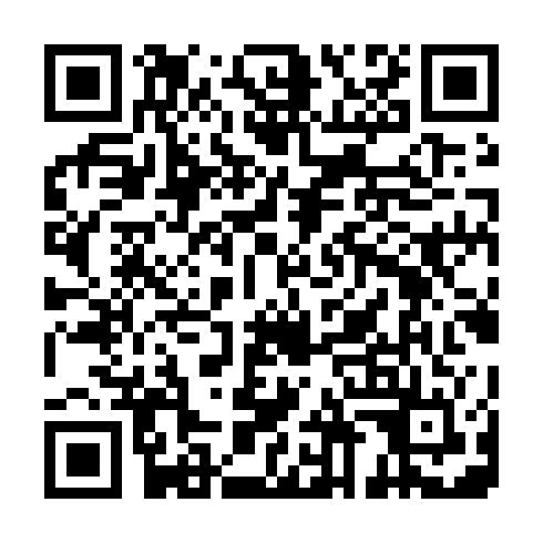 QR code for IIB633