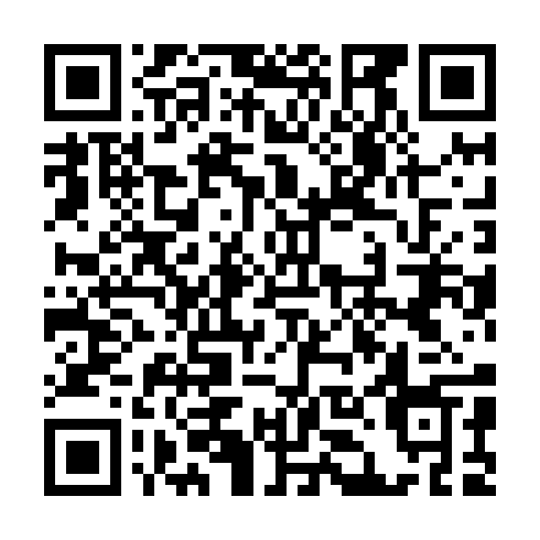 QR code for IIC 691