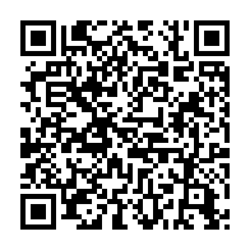 QR code for IIC407