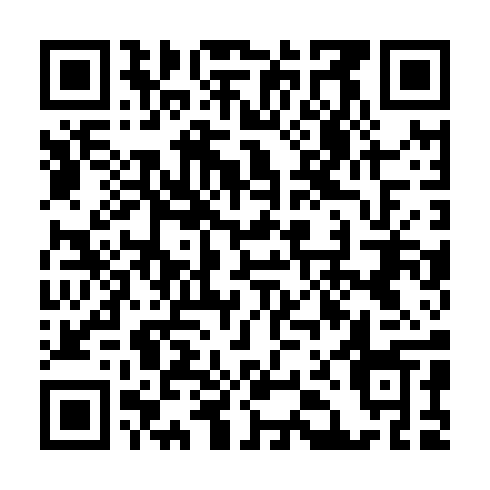 QR code for IIC487