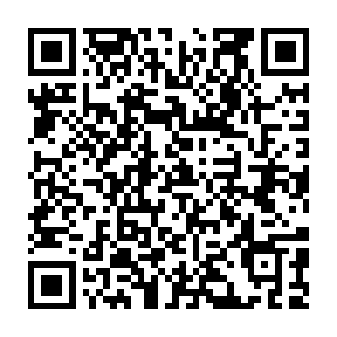 QR code for IIE 095
