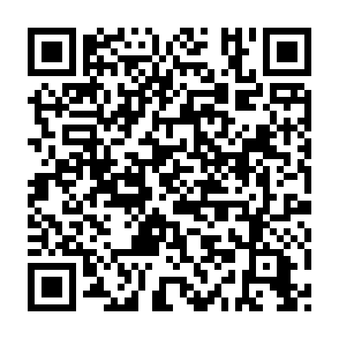 QR code for IIF 386