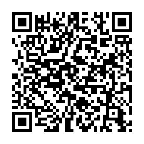 QR code for IIF 569