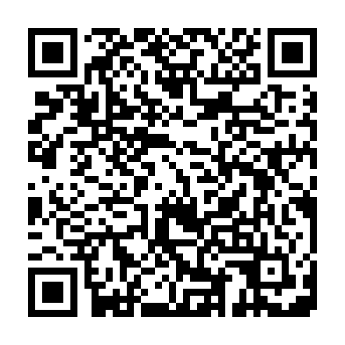 QR code for plate III 295
