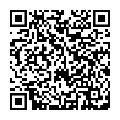 QR code for III873
