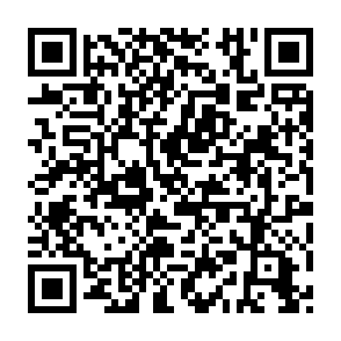 QR code for IIJ 142