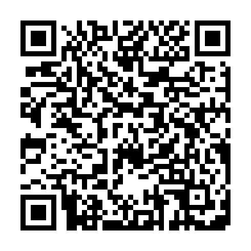 QR code for IIM 389