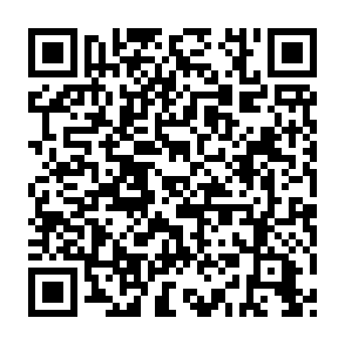 QR code for IIM519