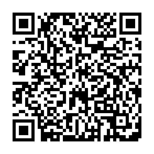 QR code for IIN 161