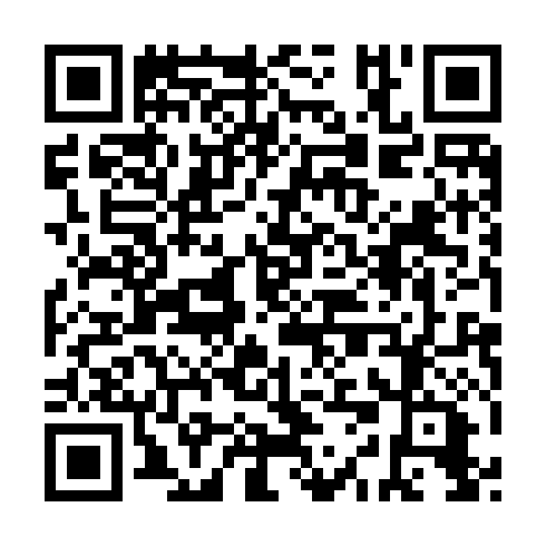 QR code for IIO 317