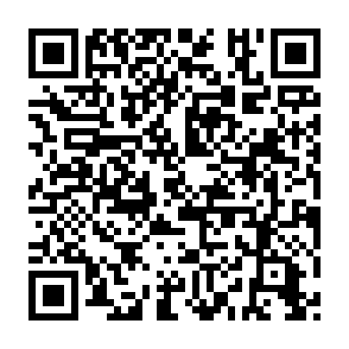 QR code for IIP 374