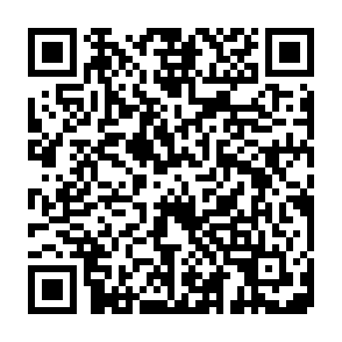 QR code for IIP598