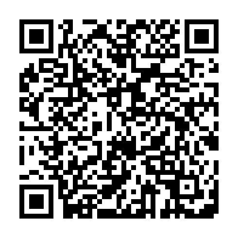 QR code for IIQ333