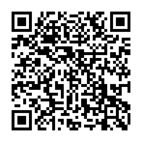 QR code for IIR 335