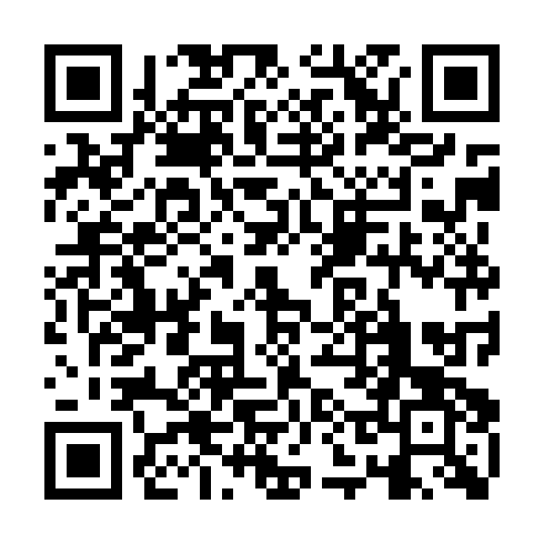 QR code for IIS768