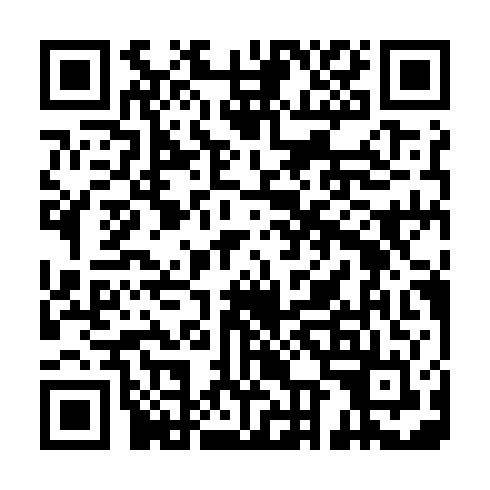 QR code for IIZ386