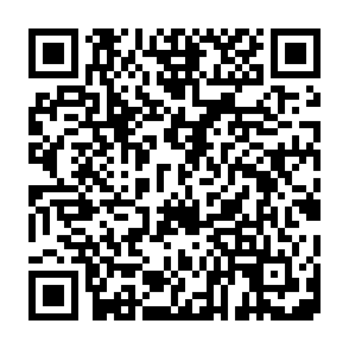 QR code for IJS 133