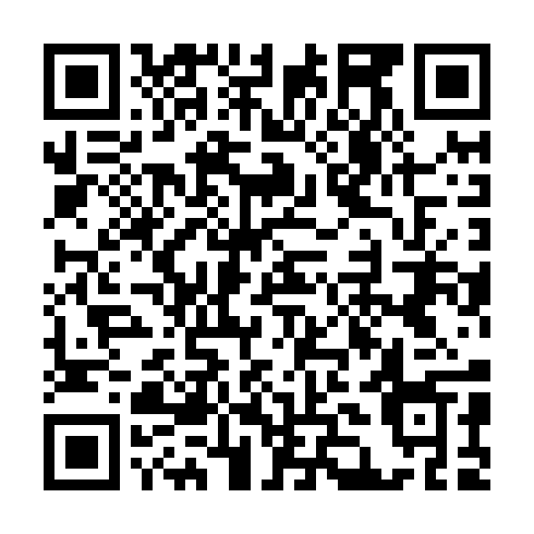 QR code for IJW 295