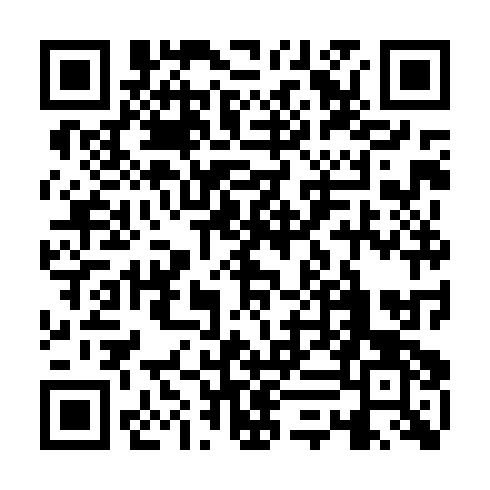 QR code for IJX 560