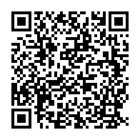 QR code for IJX 737
