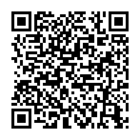 QR code for plate ILV 085