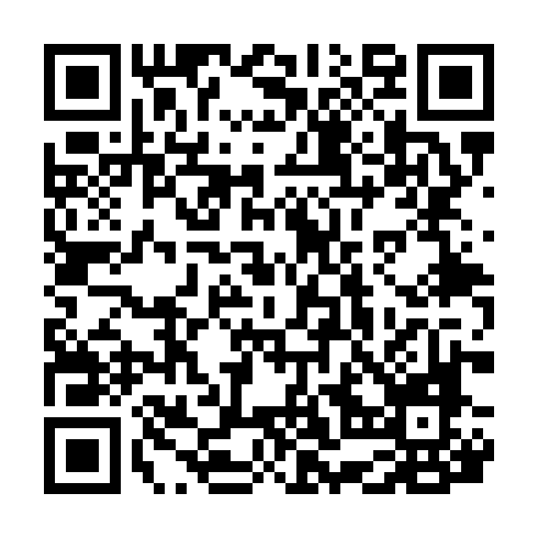 QR code for ILY 294