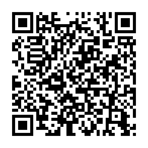 QR code for IMN 029