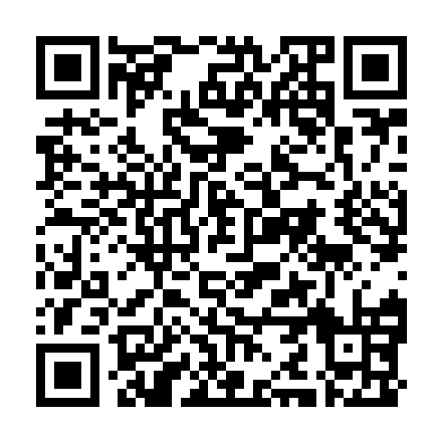 QR code for INI953