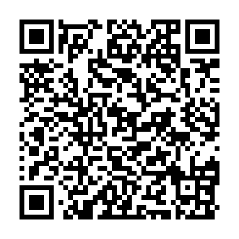 QR code for plate INI 955