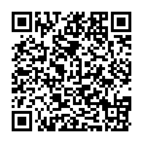 QR code for INT 312