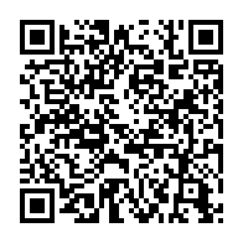 QR code for INT 462