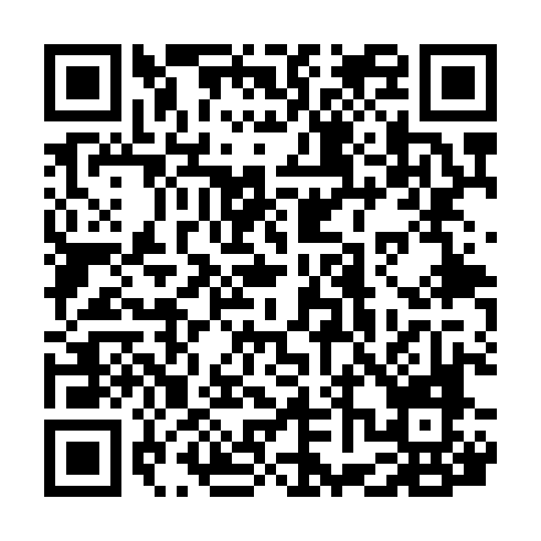 QR code for IPG538