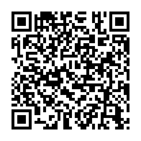 QR code for plate IRN 333