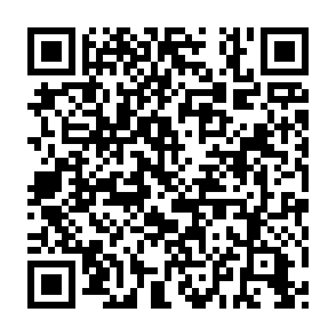 QR code for IRT 290