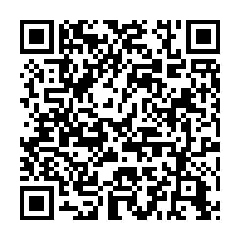 QR code for IRT541
