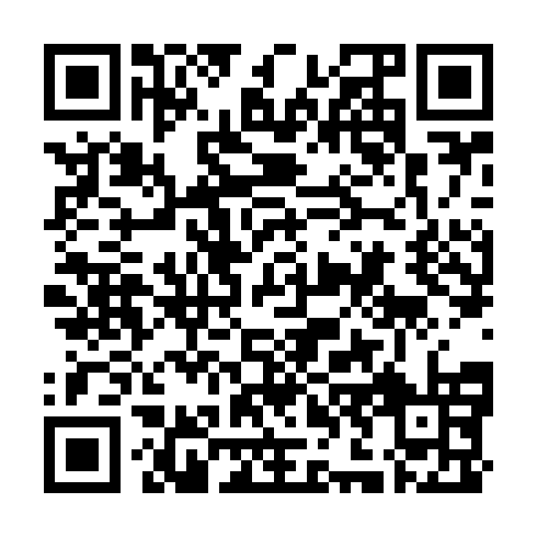 QR code for plate ISN 513