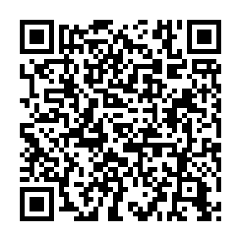 QR code for ITS 919