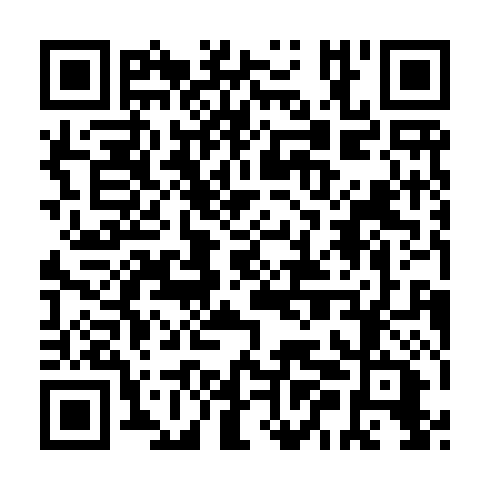 QR code for IUI 339